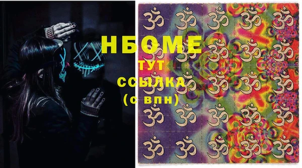 гашик Алексин