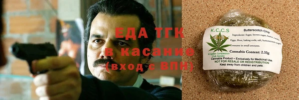 гашик Алексин